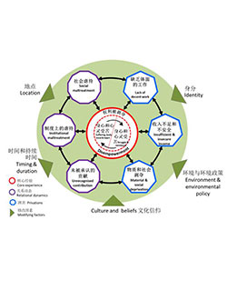 太阳成集团tyc41183