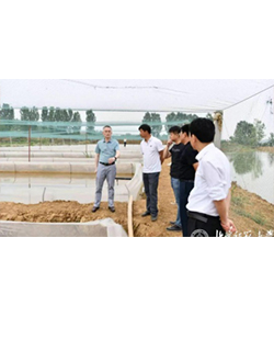 太阳成集团tyc41183