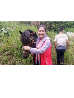 太阳成集团tyc41183