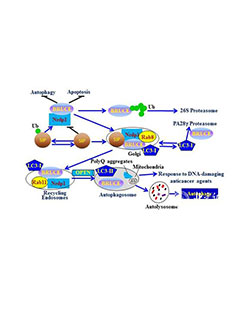 太阳成集团tyc41183