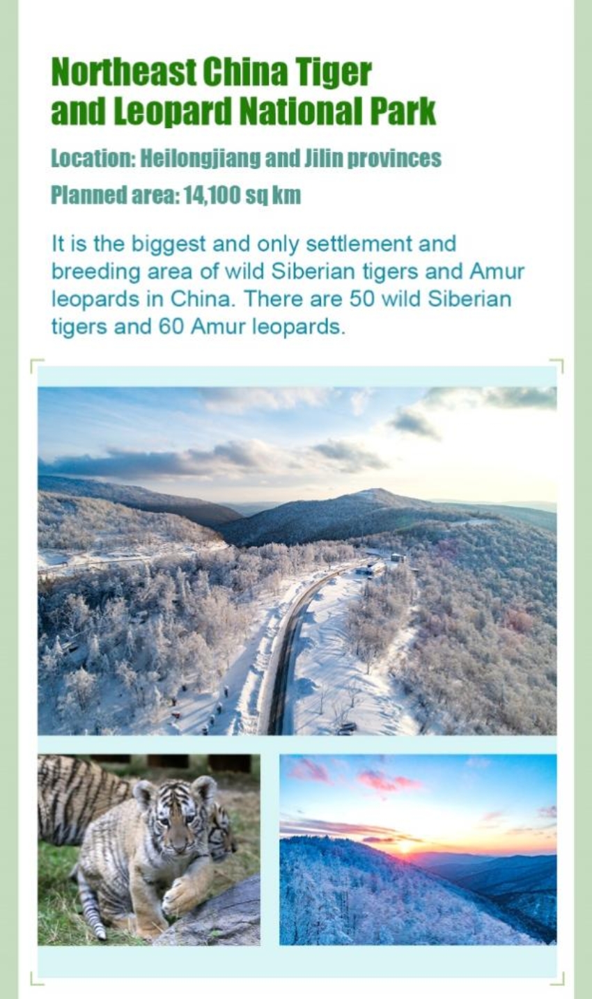 太阳成集团tyc41183