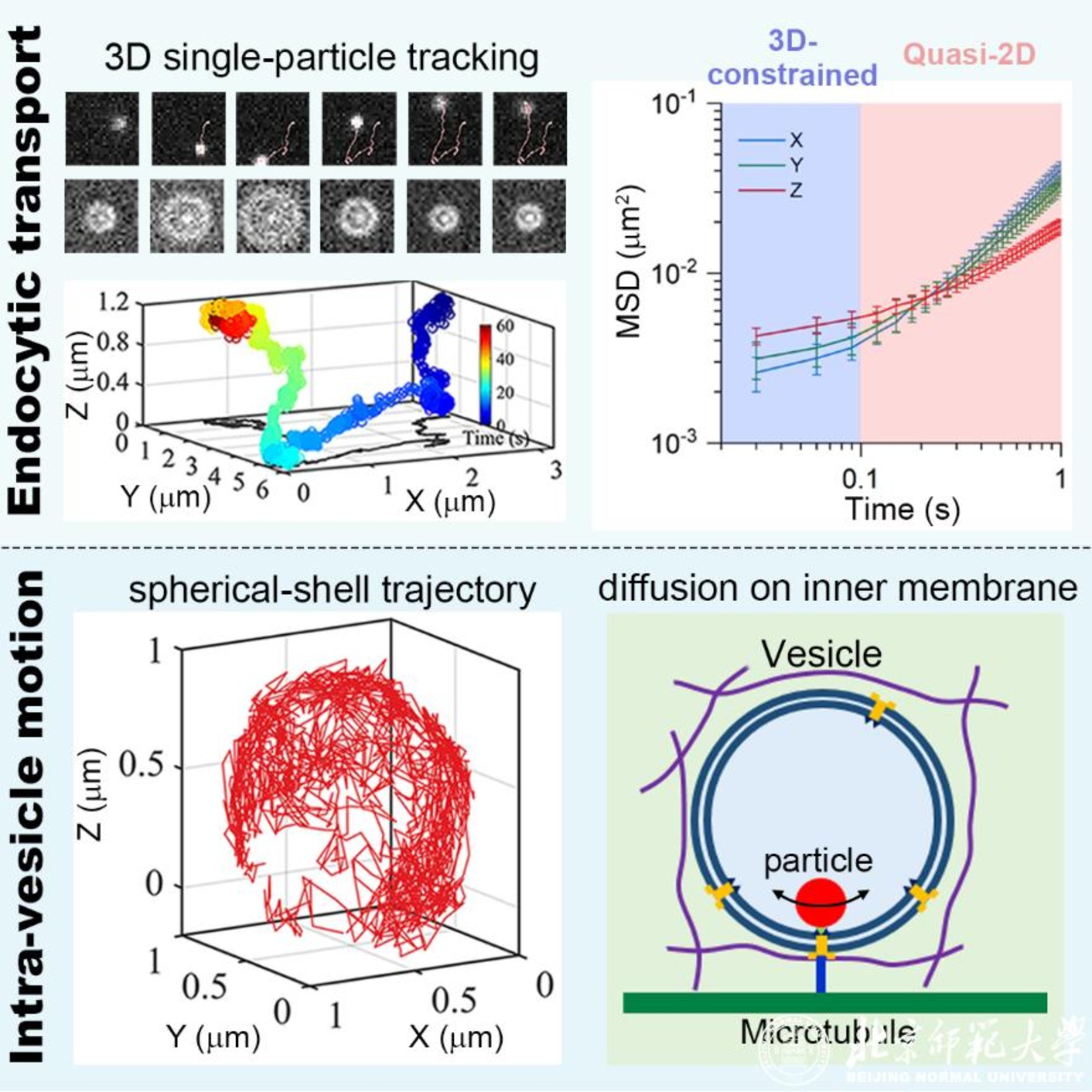 太阳成集团tyc41183